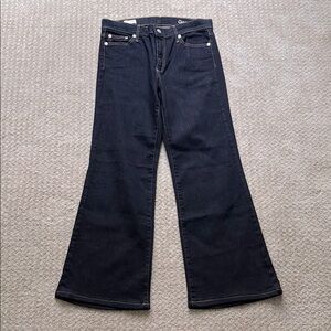 NWOT Gap Jeans | Authentic Flare in Dark Wash | Size 30R